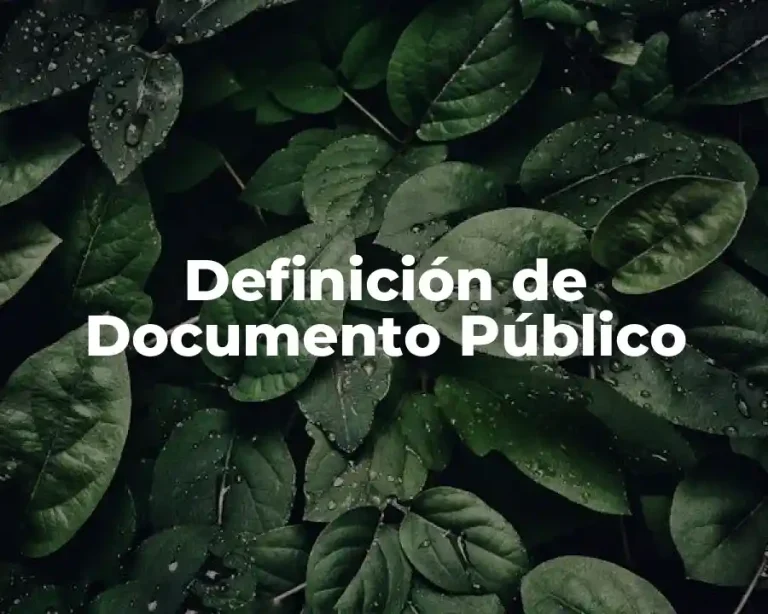 Definición de Documento Público