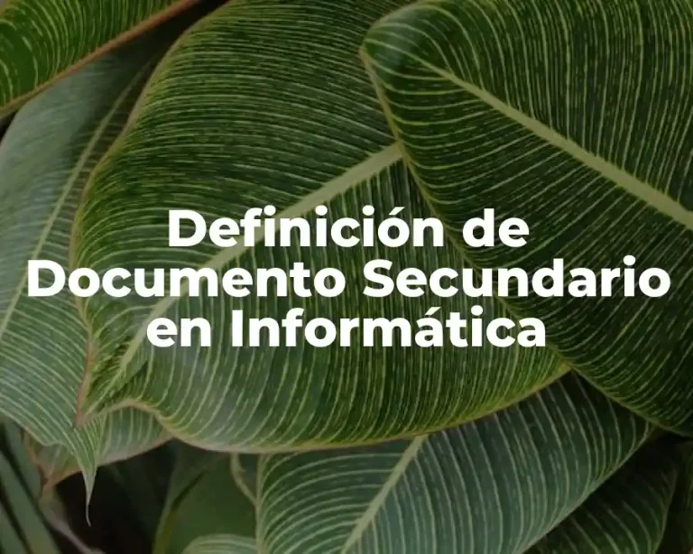 Definición de Documento Secundario en Informática