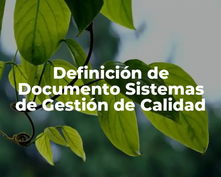 Definición de Documento Sistemas de Gestión de Calidad