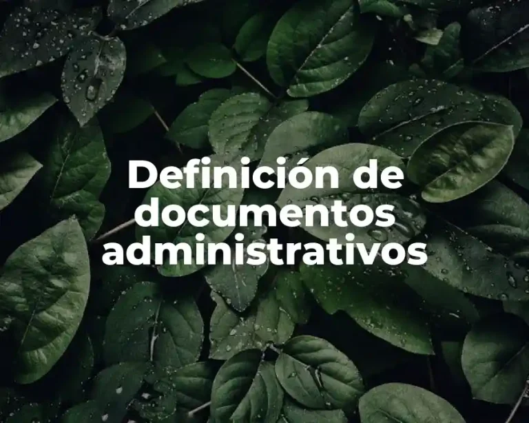 Definición de documentos administrativos