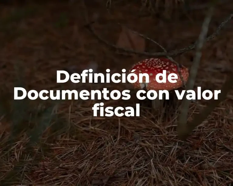 Definición de Documentos con valor fiscal
