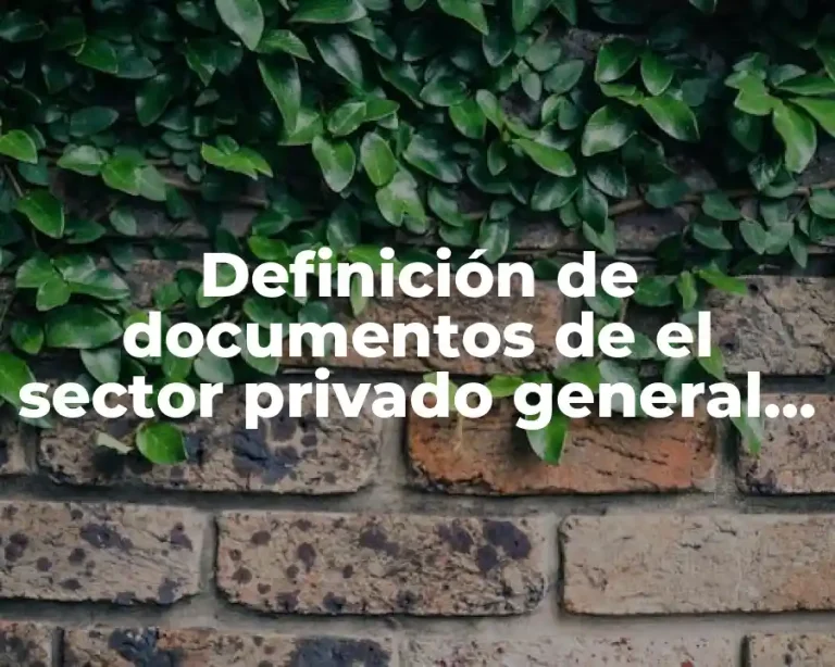 Definición de documentos de el sector privado general balance general