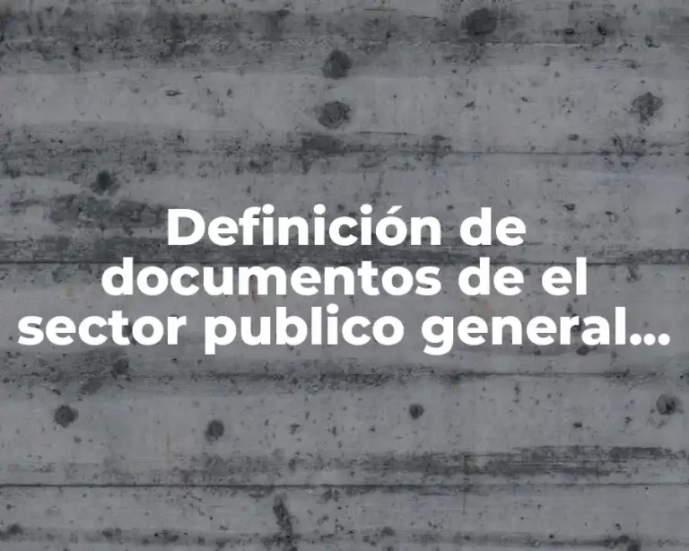 Definición de documentos de el sector publico general balance general
