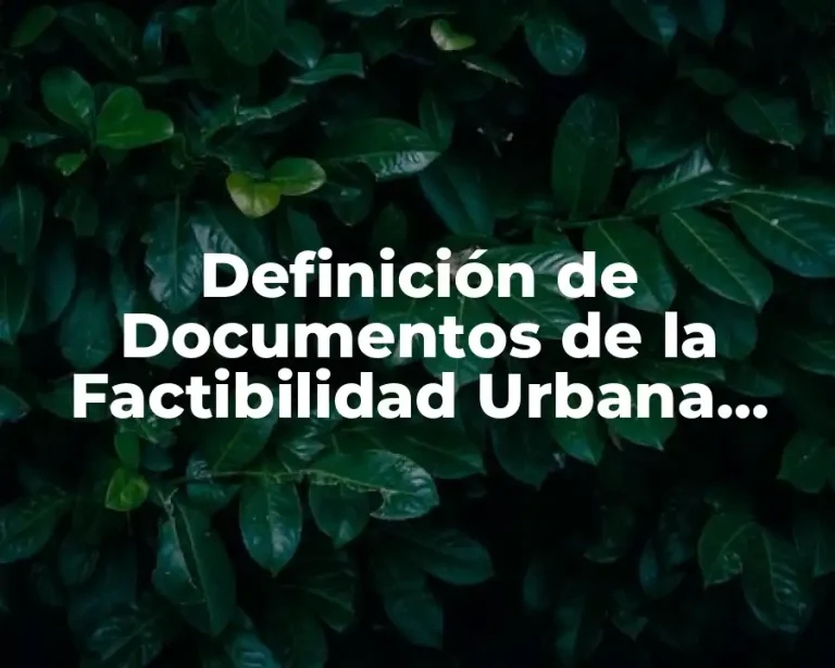 Definición de Documentos de la Factibilidad Urbana Ambiental