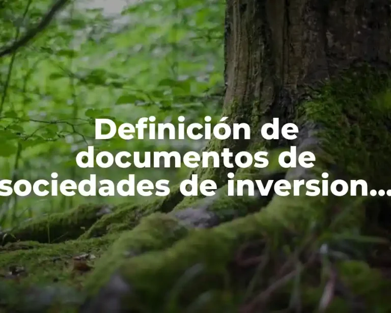 Definición de documentos de sociedades de inversion en Mexico