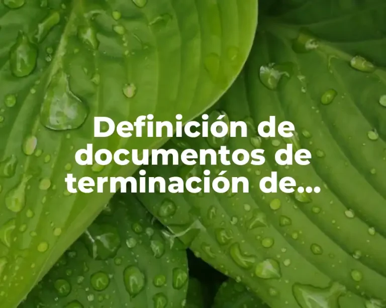 Definición de documentos de terminación de prácticas profesionales