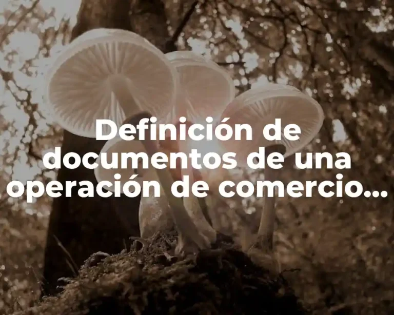 Definición de documentos de una operación de comercio exterior