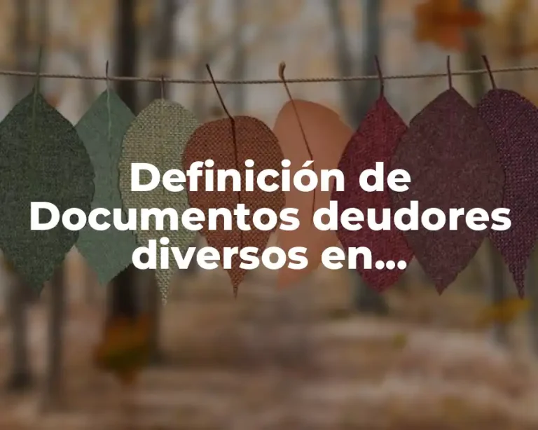 Definición de Documentos deudores diversos en contabilidad