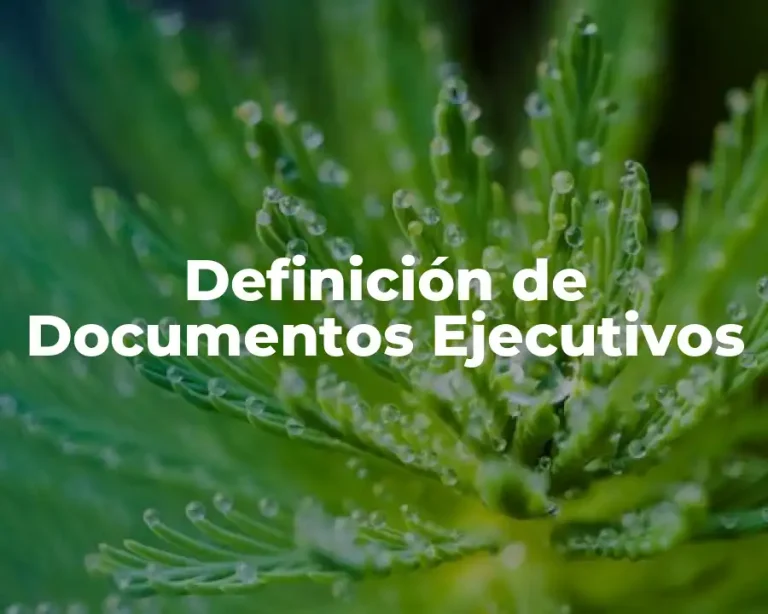 Definición de Documentos Ejecutivos