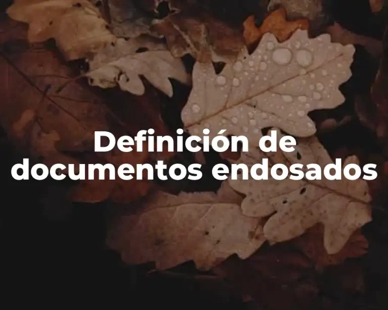 Definición de documentos endosados