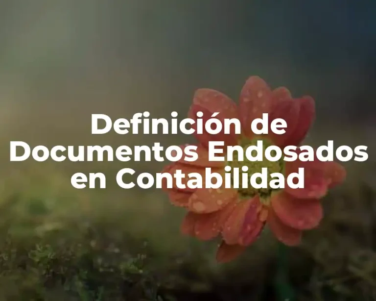 Definición de Documentos Endosados en Contabilidad