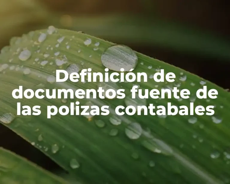 Definición de documentos fuente de las polizas contabales