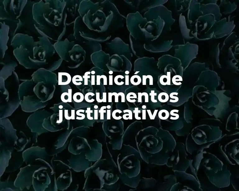 Definición de documentos justificativos