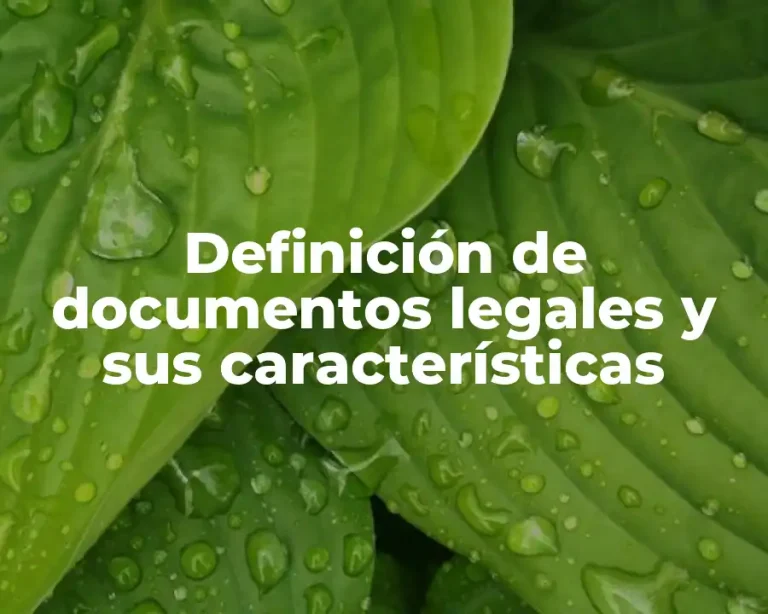 Definición de documentos legales y sus características