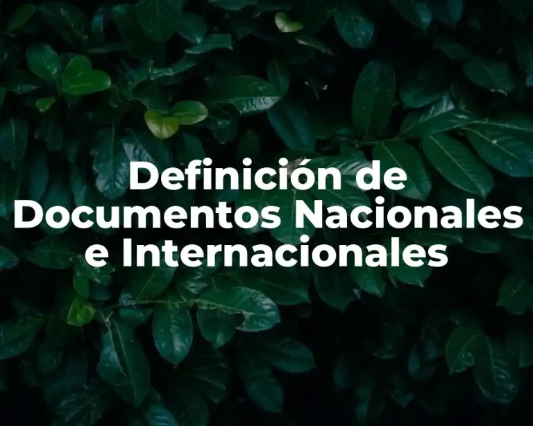 Definición de Documentos Nacionales e Internacionales