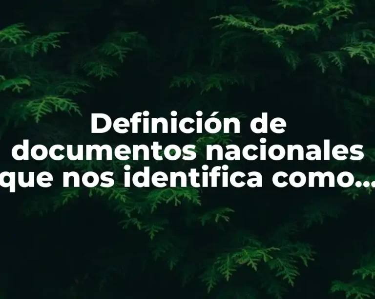 Definición de documentos nacionales que nos identifica como ciudadanos