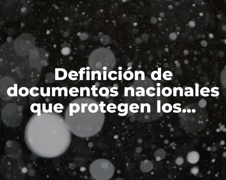 Definición de documentos nacionales que protegen los derechos humanos