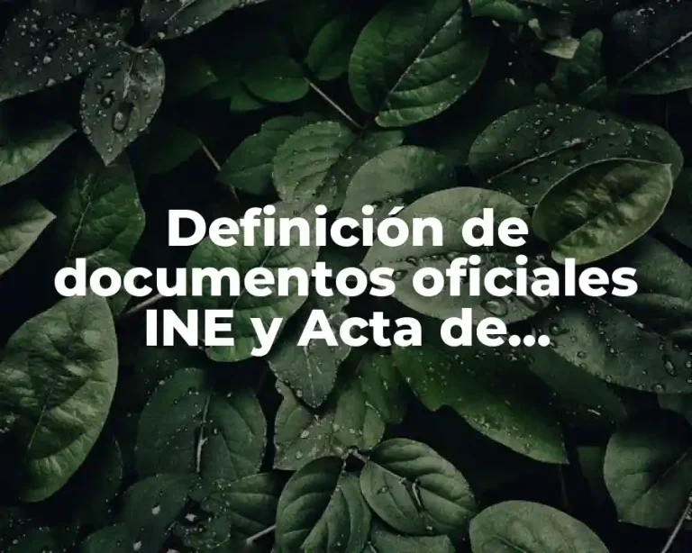 Definición de documentos oficiales INE y Acta de Nacimiento
