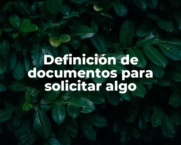 Definición de documentos para solicitar algo