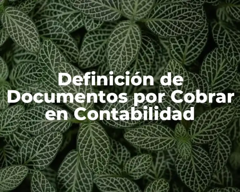 Definición de Documentos por Cobrar en Contabilidad