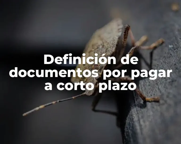 Definición de documentos por pagar a corto plazo
