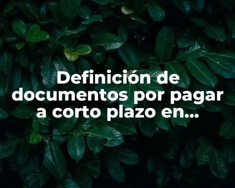 Definición de documentos por pagar a corto plazo en contabilidad