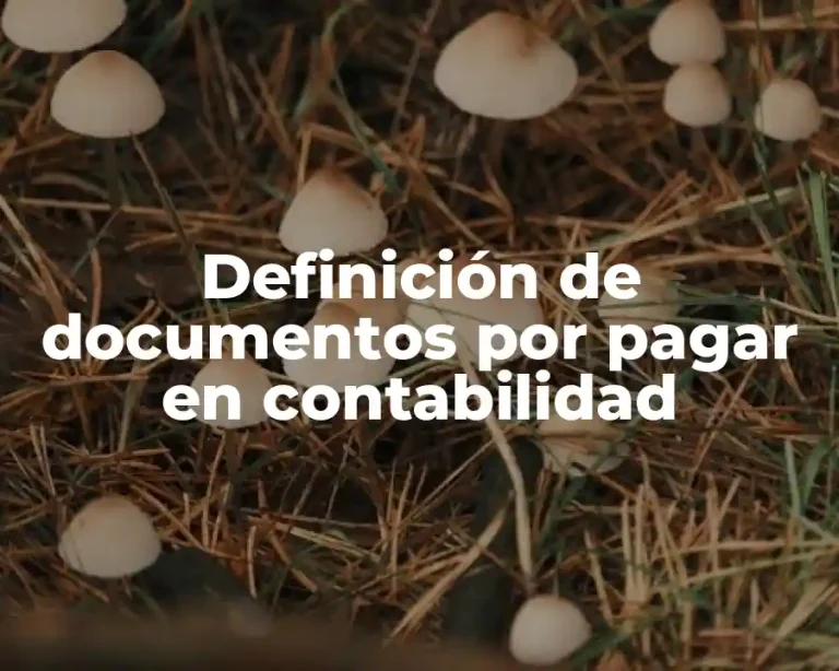 Definición de documentos por pagar en contabilidad