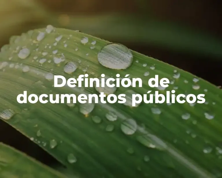 Definición de documentos públicos