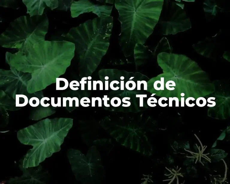 Definición de Documentos Técnicos