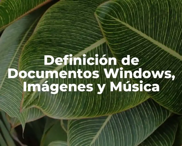 Definición de Documentos Windows, Imágenes y Música