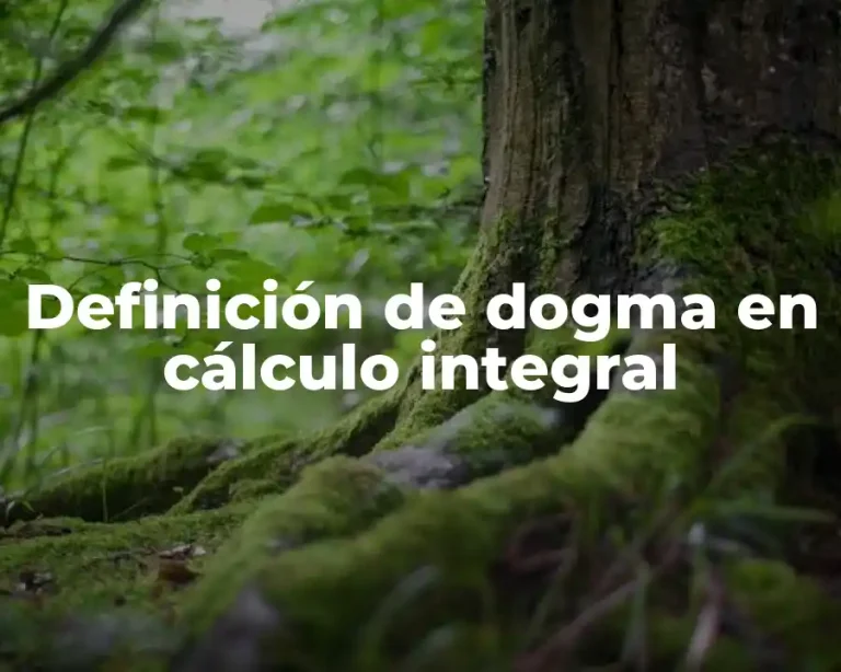 Definición de dogma en cálculo integral
