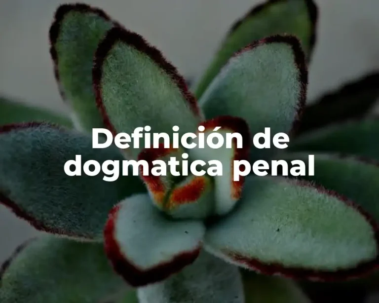 Definición de dogmatica penal