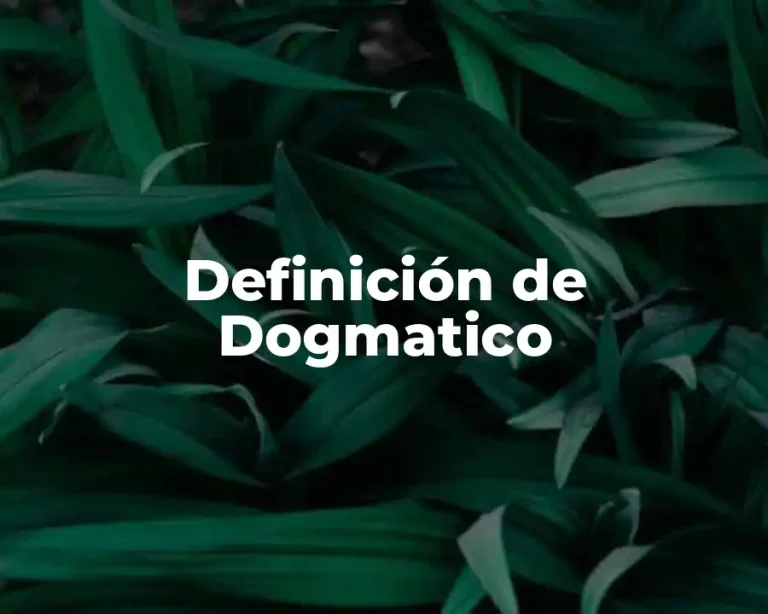 Definición de Dogmatico
