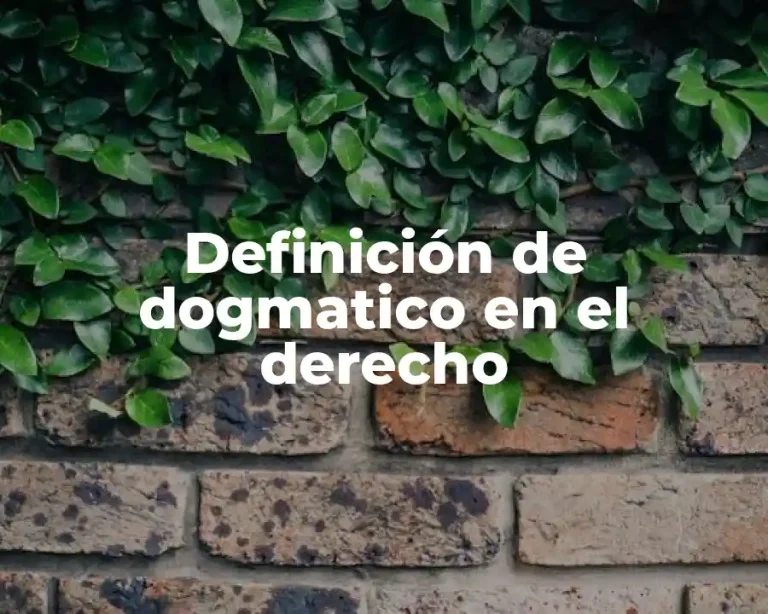 Definición de dogmatico en el derecho