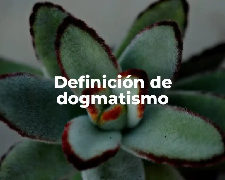 Definición de dogmatismo