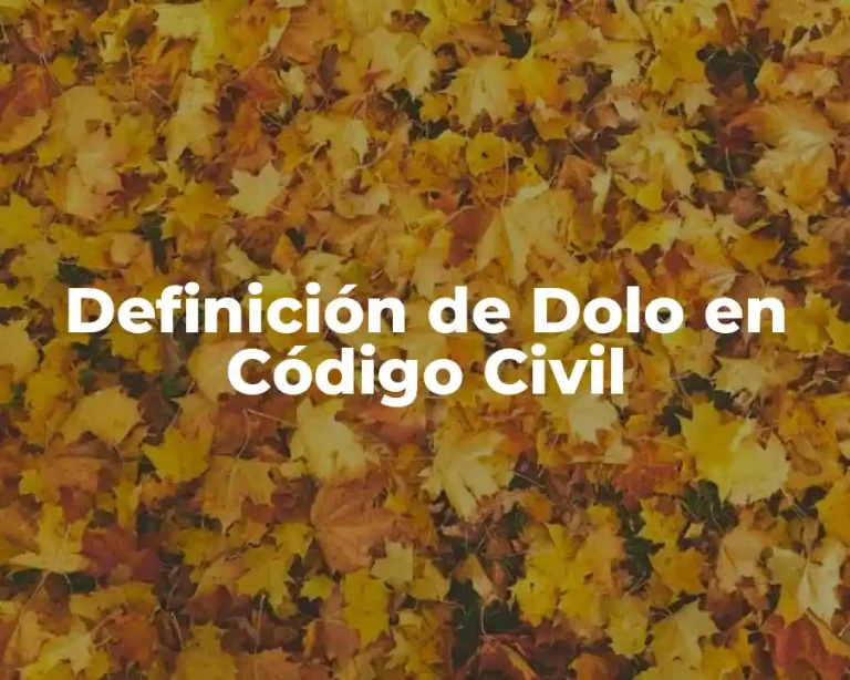 Definición de Dolo en Código Civil