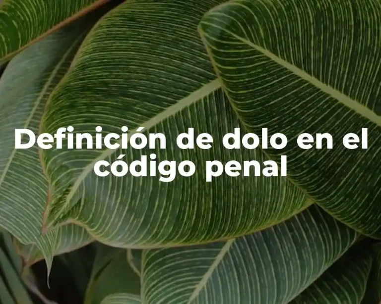 Definición de dolo en el código penal