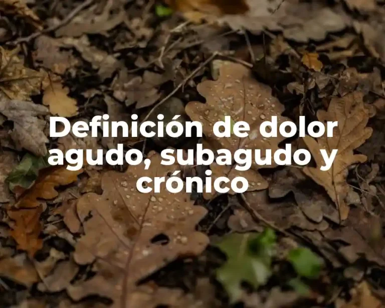 Definición de dolor agudo, subagudo y crónico