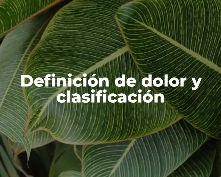 Definición de dolor y clasificación
