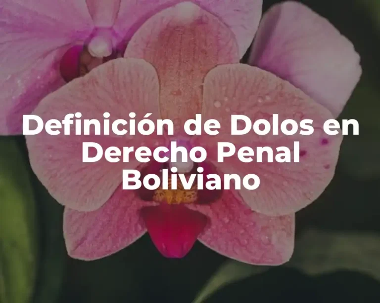 Definición de Dolos en Derecho Penal Boliviano