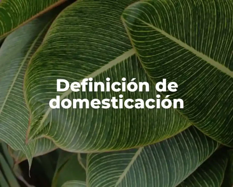 Definición de domesticación