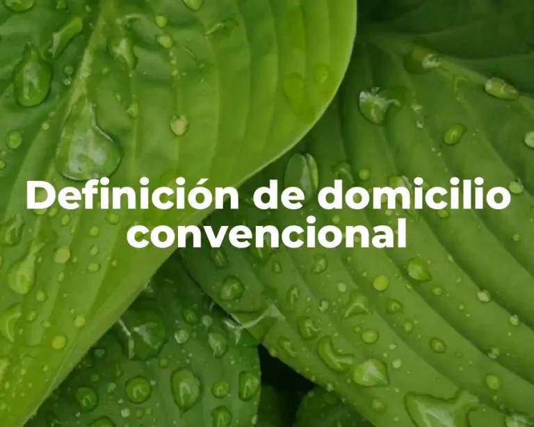 Definición de domicilio convencional