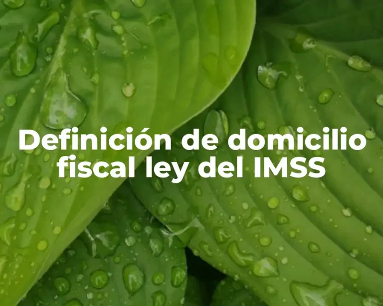 Definición de domicilio fiscal ley del IMSS