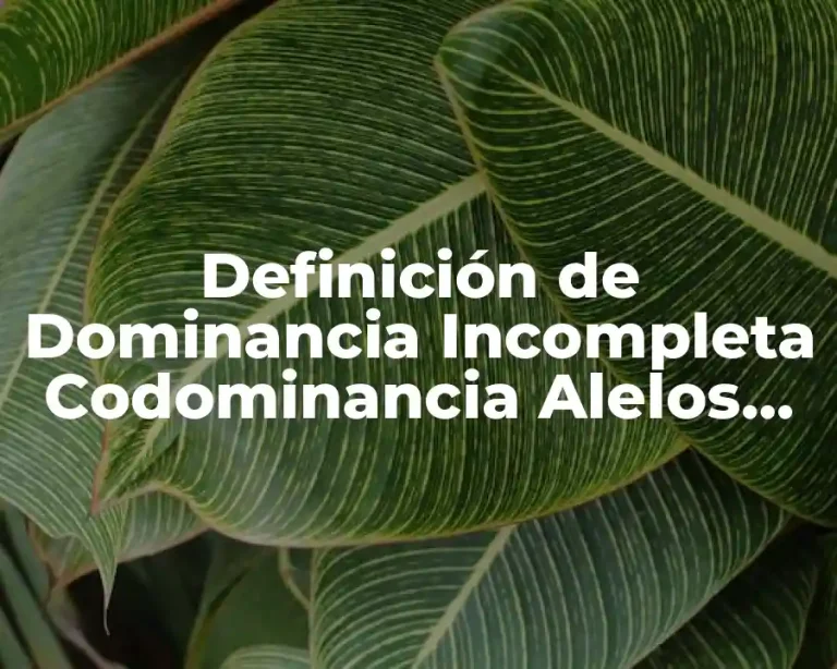 Definición de Dominancia Incompleta Codominancia Alelos Multiples Definición