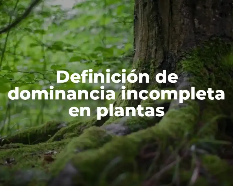 Definición de dominancia incompleta en plantas