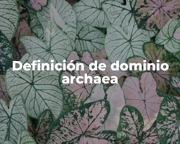 Definición de dominio archaea