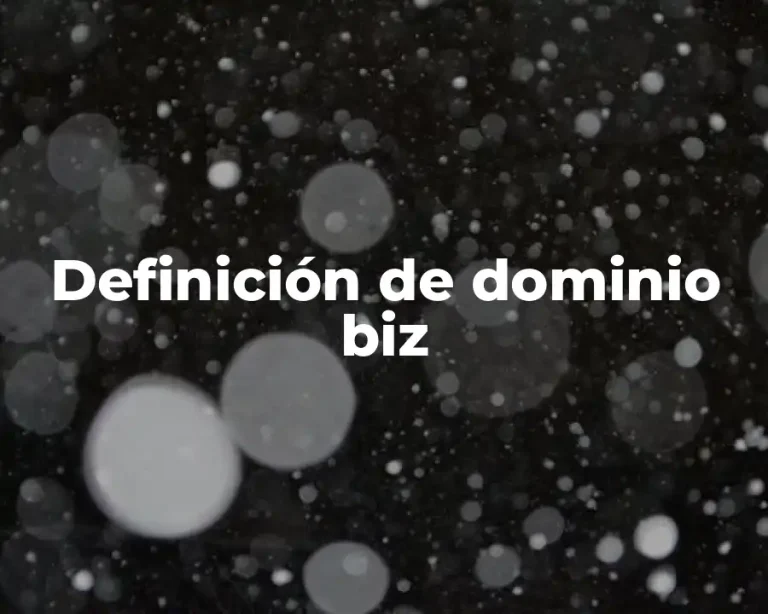 Definición de dominio biz