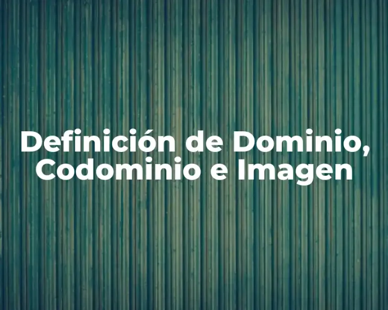 Definición de Dominio, Codominio e Imagen