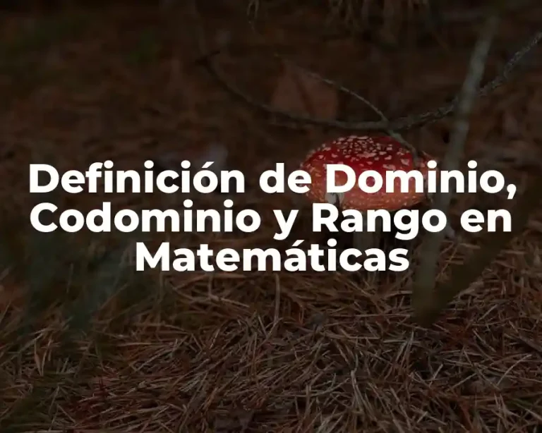 Definición de Dominio, Codominio y Rango en Matemáticas