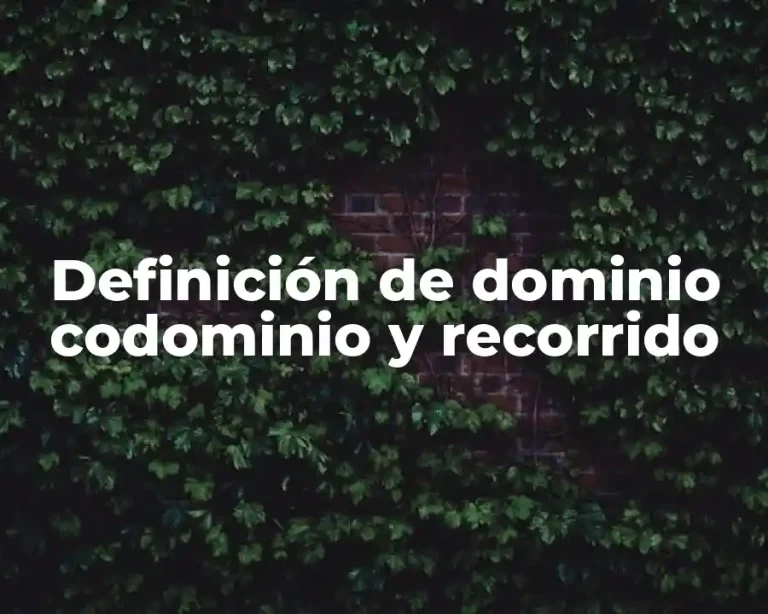 Definición de dominio codominio y recorrido